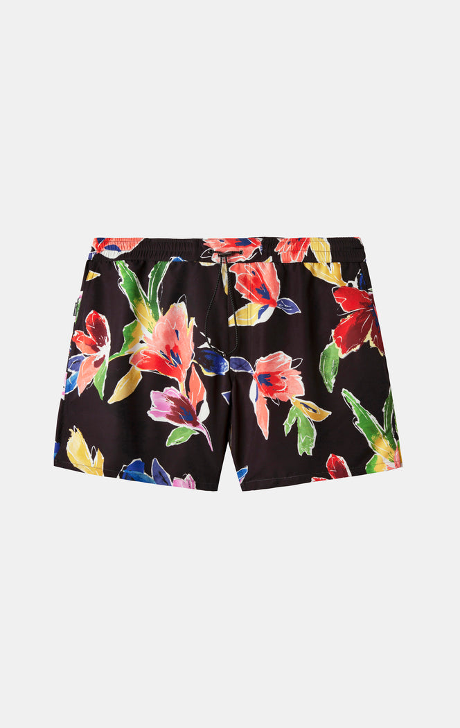Doran Boxer